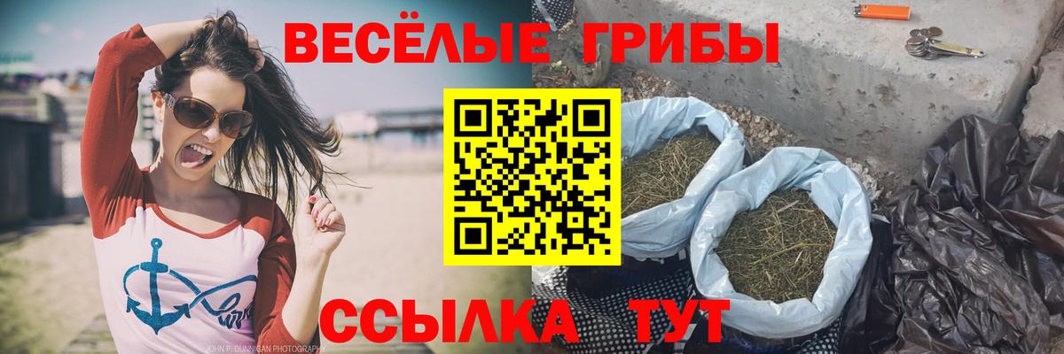 Псилоцибиновые грибы MAGIC MUSHROOMS Прокопьевск