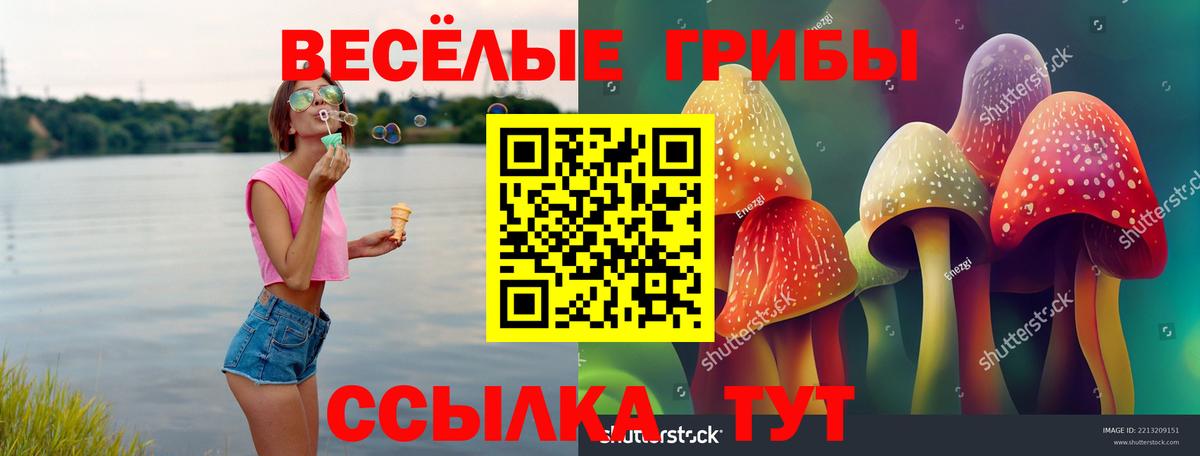 купить закладку  Вход с VPN  Галлюциногенные грибы прущие грибы  Прокопьевск  Псилоцибиновые грибы Psilocybine cubensis 